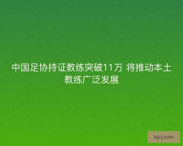 中国足协持证教练突破11万 将推动本土教练广泛发展